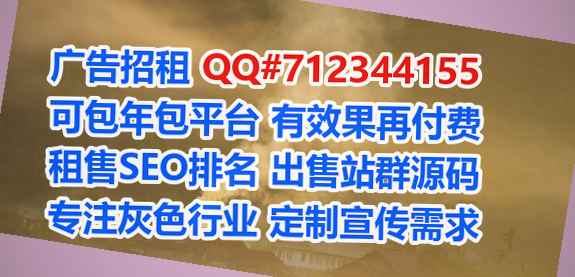 迭部借腹生子数据有限公司